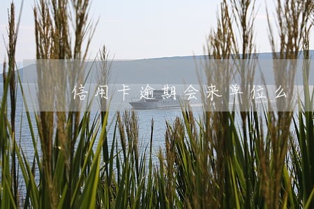信用卡逾期会来单位么 信用卡逾期会来单位么