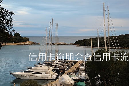信用卡逾期会查信用卡流水吗