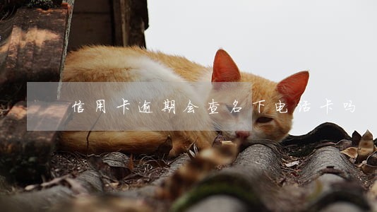 信用卡逾期会查名下电话卡吗 信用卡逾期会查名下电话卡吗