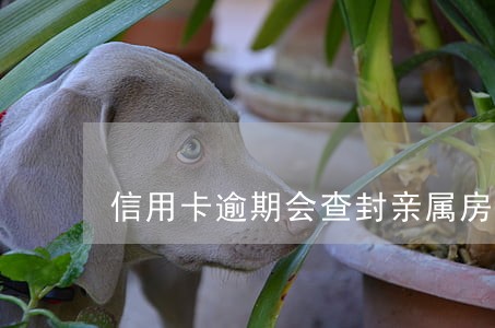 信用卡逾期会查封亲属房产么 信用卡逾期会查封亲属房产么