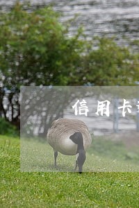 信用卡逾期会查封名下财产吗 信用卡逾期会查封名下财产吗