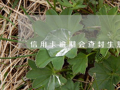 信用卡逾期会查封生意吗 信用卡逾期会查封生意吗