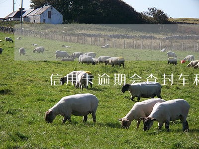 信用卡逾期会查封车和房产吗 信用卡逾期会查封车和房产吗