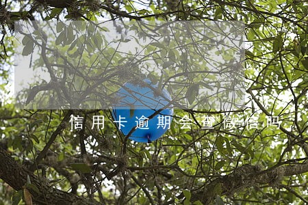 信用卡逾期会查微信吗 信用卡逾期会查微信吗