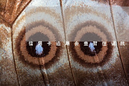 信用卡逾期会查暂住证找人吗 信用卡逾期会查暂住证找人吗