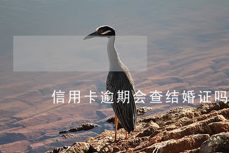 信用卡逾期会查结婚证吗 信用卡逾期会查结婚证吗