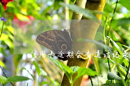 信用卡逾期会查通话记录吗 信用卡逾期会查通话记录吗