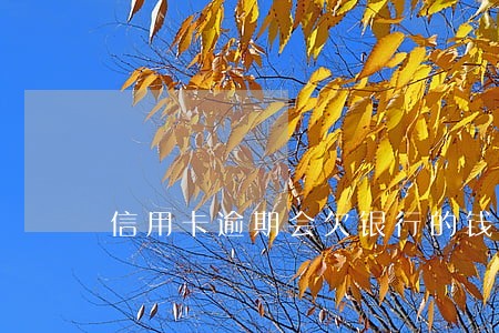 信用卡逾期会欠银行的钱吗 信用卡逾期会欠银行的钱吗