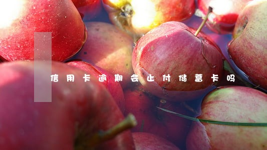 信用卡逾期会止付储蓄卡吗