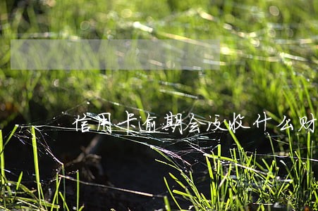信用卡逾期会没收什么财产 信用卡逾期会没收什么财产