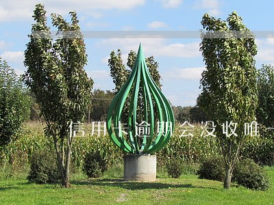信用卡逾期会没收唯一住房吗 信用卡逾期会没收唯一住房吗