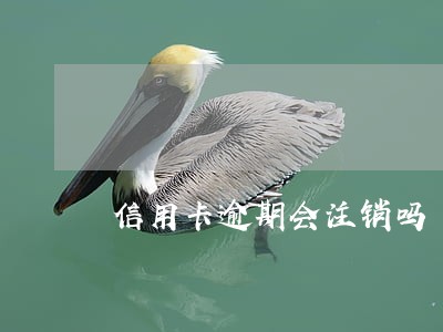 信用卡逾期会注销吗 信用卡逾期会注销吗