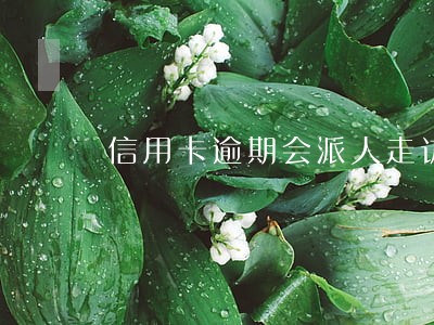 信用卡逾期会派人走访吗