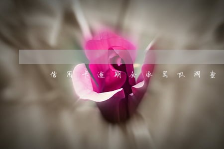信用卡逾期会派团队调查吗 信用卡逾期会派团队调查吗