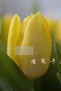 信用卡逾期会派遣当地分行协商吗