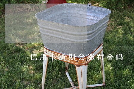 信用卡逾期会涨罚金吗 信用卡逾期会涨罚金吗