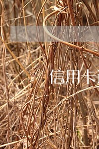 信用卡逾期会炸通讯录 信用卡逾期会炸通讯录