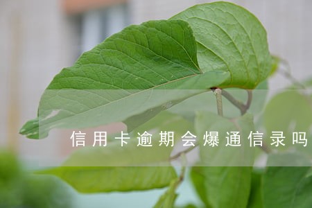 信用卡逾期会爆通信录吗 信用卡逾期会爆通信录吗