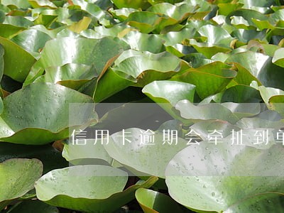 信用卡逾期会牵扯到单位吗 信用卡逾期会牵扯到单位吗