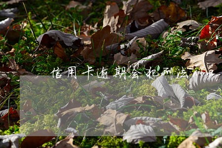 信用卡逾期会犯刑法196条吗 信用卡逾期会犯刑法196条吗