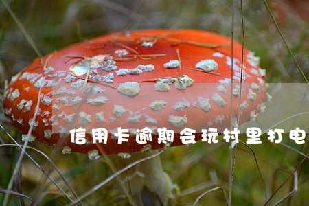 信用卡逾期会玩村里打电话吗 信用卡逾期会玩村里打电话吗