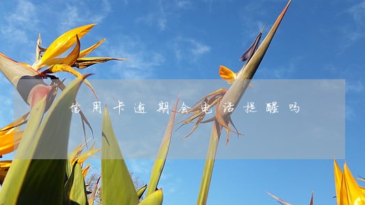信用卡逾期会电话提醒吗 信用卡逾期会电话提醒吗
