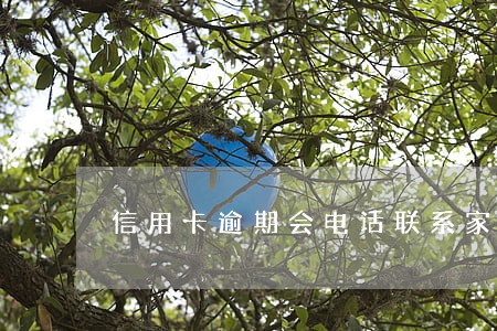 信用卡逾期会电话联系家人吗 信用卡逾期会电话联系家人吗