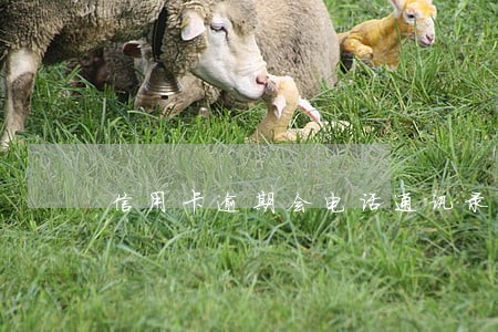 信用卡逾期会电话通讯录 信用卡逾期会电话通讯录