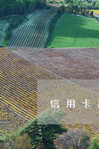 信用卡逾期会直接上报征信吗