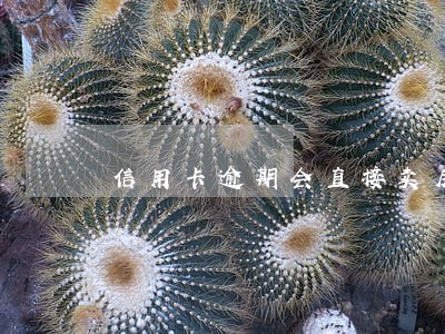 信用卡逾期会直接卖房子 信用卡逾期会直接卖房子