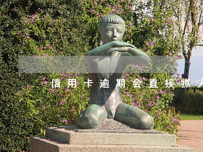 信用卡逾期会直接抓人 信用卡逾期会直接抓人