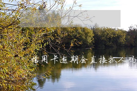 信用卡逾期会直接抓人吗 信用卡逾期会直接抓人吗