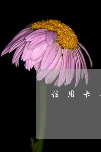 信用卡逾期会直接清缴吗 信用卡逾期会直接清缴吗
