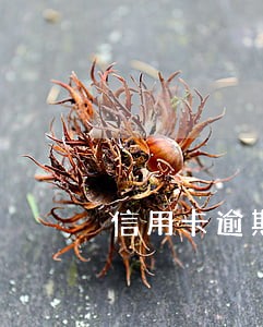 信用卡逾期会直接给派出所寄涵吗