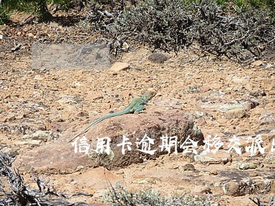 信用卡逾期会移交派出所吗 信用卡逾期会移交派出所吗