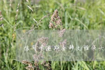 信用卡逾期会移交经侦大队吗 信用卡逾期会移交经侦大队吗
