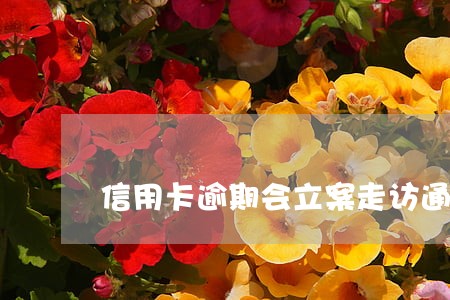 信用卡逾期会立案走访通知嘛 信用卡逾期会立案走访通知嘛
