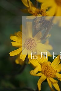 信用卡逾期会签署刑事 信用卡逾期会签署刑事