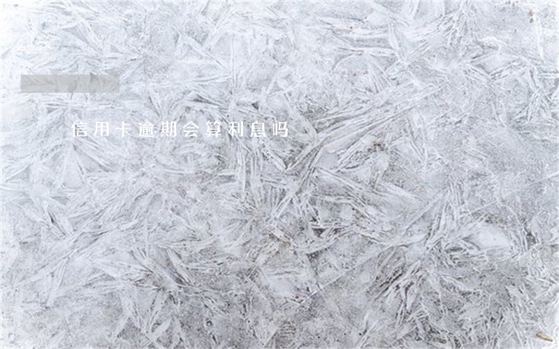 信用卡逾期会算利息吗 信用卡逾期会算利息吗