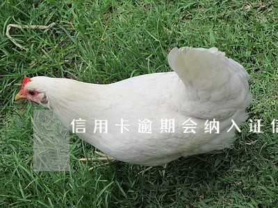 信用卡逾期会纳入证信吗 信用卡逾期会纳入证信吗