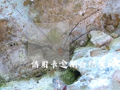 信用卡逾期会结案吗 信用卡逾期会结案吗