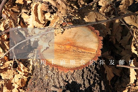 信用卡逾期会给你发邮件么 信用卡逾期会给你发邮件么