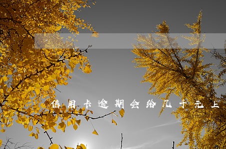 信用卡逾期会给几千元上门吗