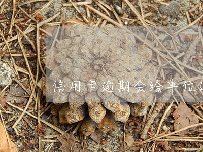 信用卡逾期会给单位通报吗 信用卡逾期会给单位通报吗
