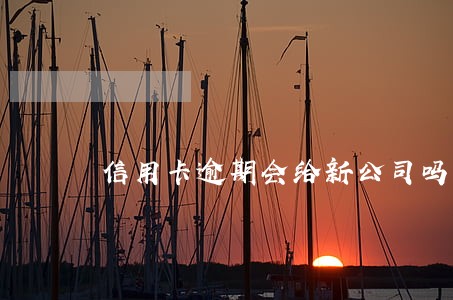 信用卡逾期会给新公司吗 信用卡逾期会给新公司吗