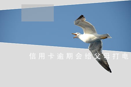 信用卡逾期会给父母打电话 信用卡逾期会给父母打电话