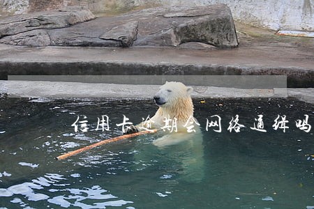 信用卡逾期会网络通缉吗 信用卡逾期会网络通缉吗