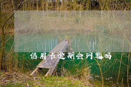 信用卡逾期会网逃吗