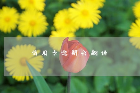 信用卡逾期会翻倍 信用卡逾期会翻倍