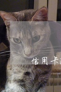 信用卡逾期会翻倍嘛